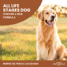 All Life Stages Dog