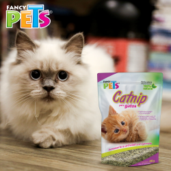 Catnip para Gatos 28 G